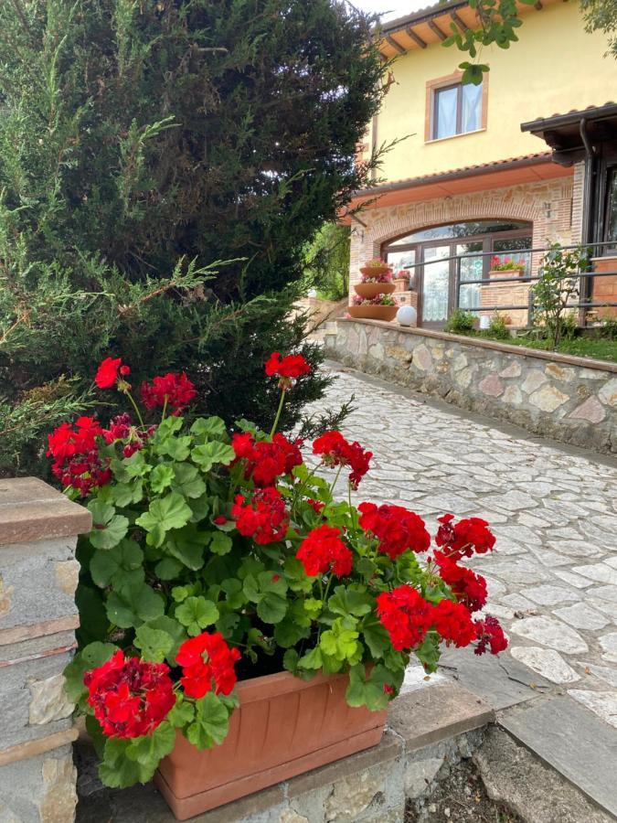 Tenuta La Ginestra Ornaro 외부 사진