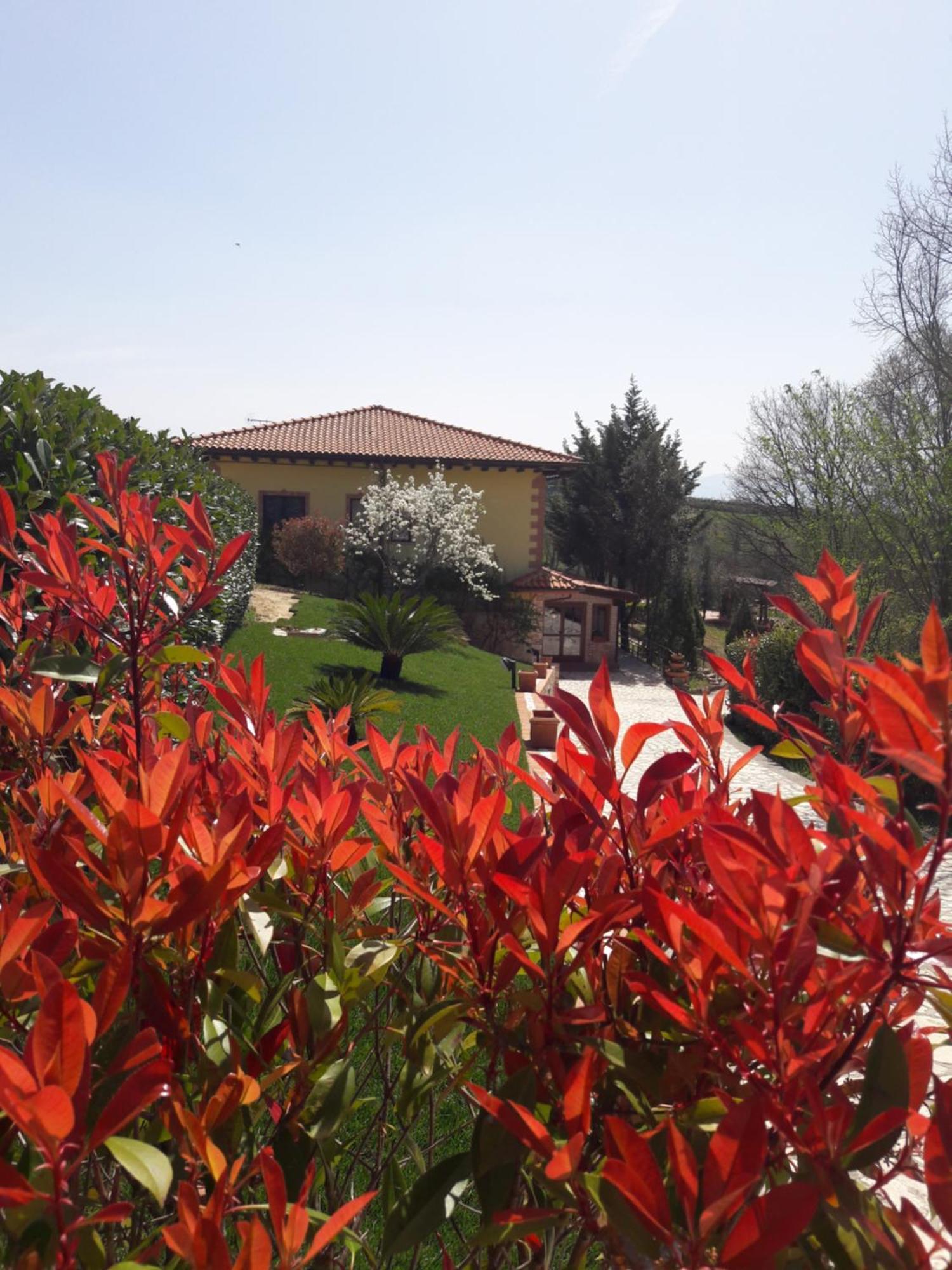 Tenuta La Ginestra Ornaro 외부 사진